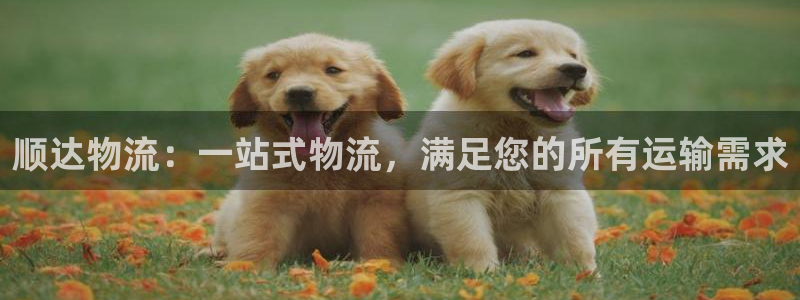 28圈加拿大官网