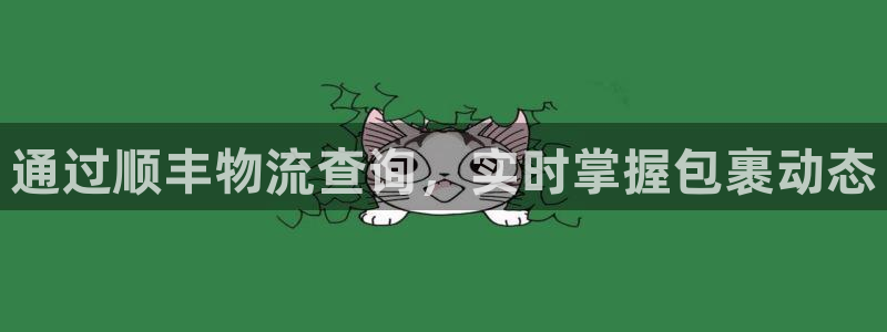 28圈充值金额随便