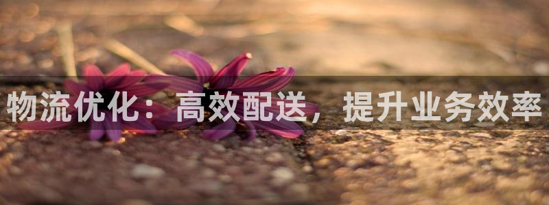 28圈客服一直不回消息怎么办