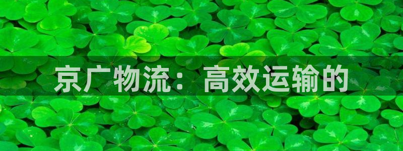28圈模拟