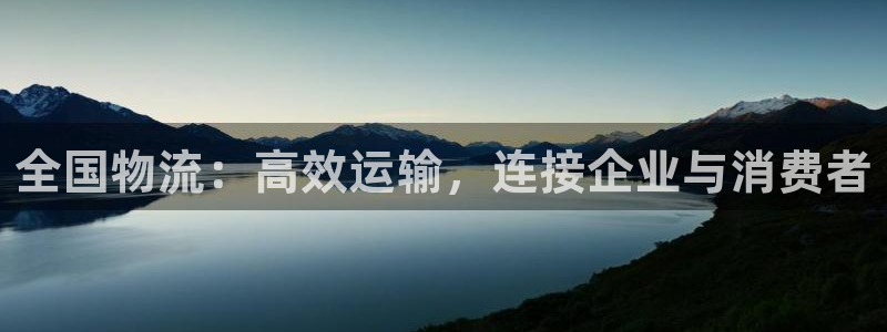 28圈官网版2024：全国物流：高效