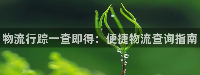 28圈退款