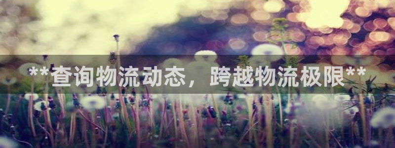 28圈注册：**查询物流动态，跨越物