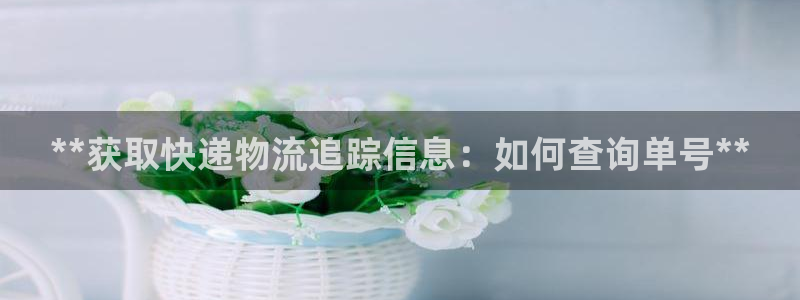 28圈ip被限制怎么解决