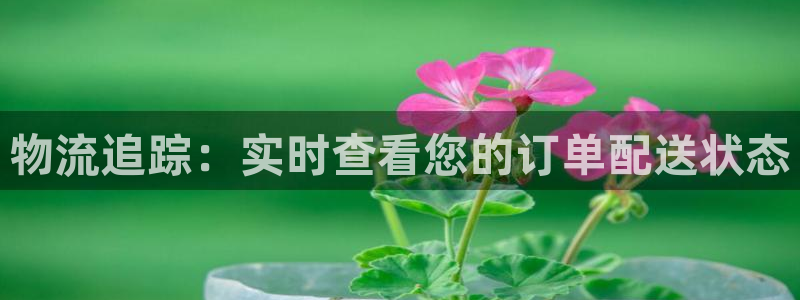28圈注册网站谁有：物流追踪：实时查