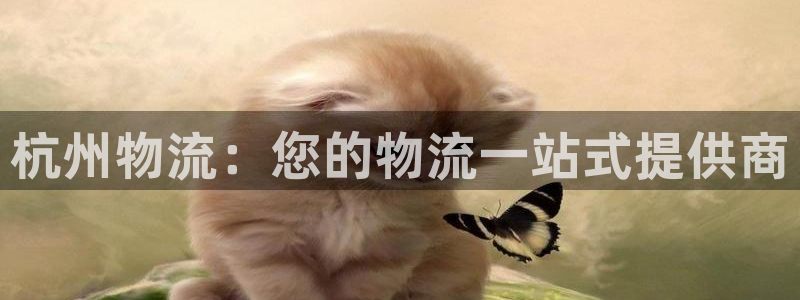 28圈自行车图片大全