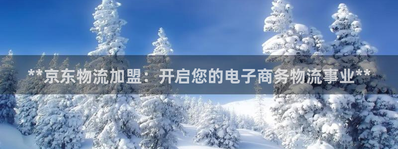 28圈p扣款什么意思