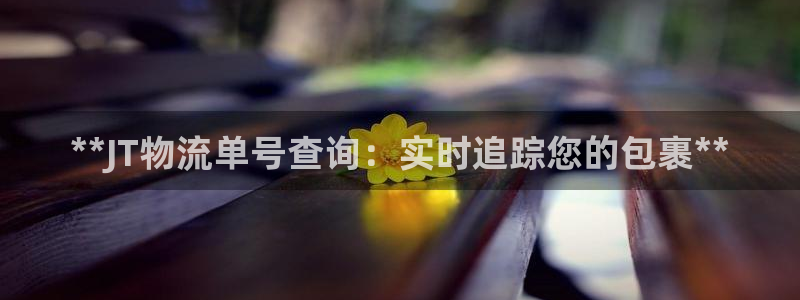 28圈充值