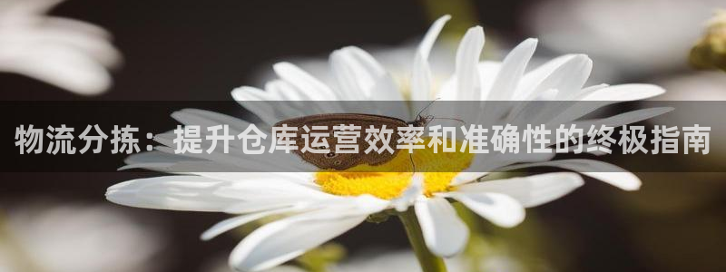 28圈黑钱