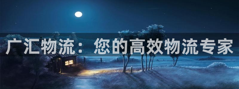 28圈注册平台：广汇物流：您的高效物