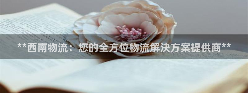 28圈客服一直不回消息怎么办