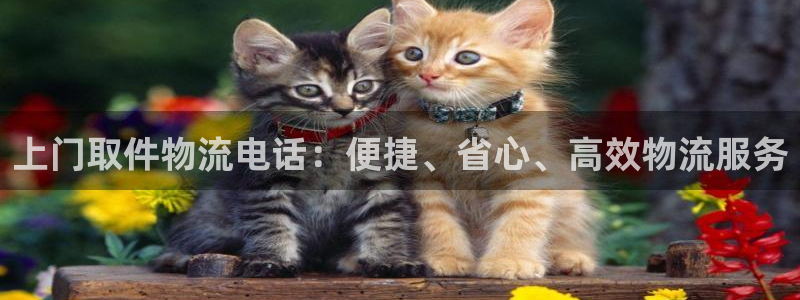 28圈.ccm南宫