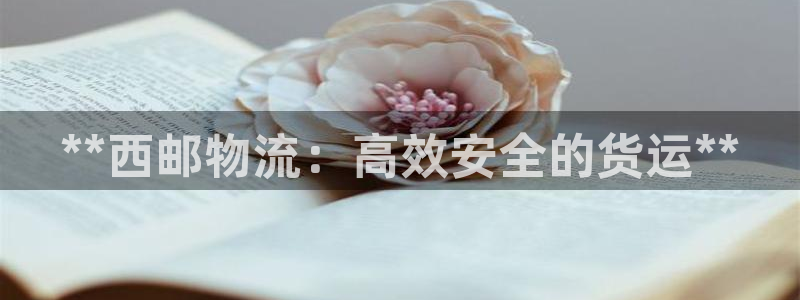 28圈口：**西邮物流：高效安全的货