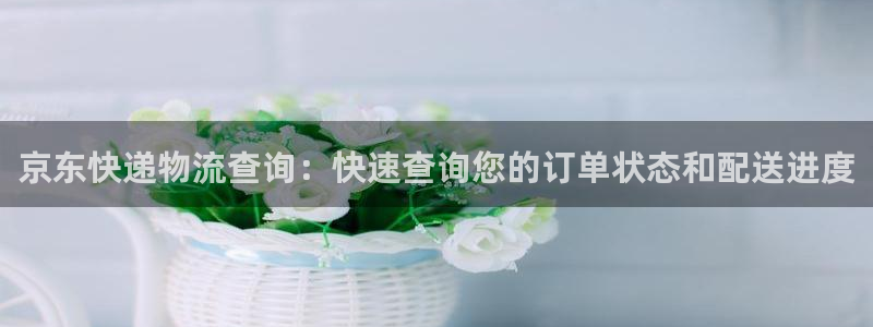 28圈官网注册：京东快递物流查询：快