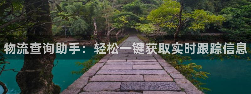 28圈加拿大2.8预测在线预测