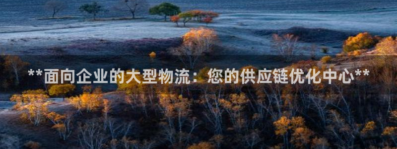 28圈加拿大开奖：**面向企业的大型