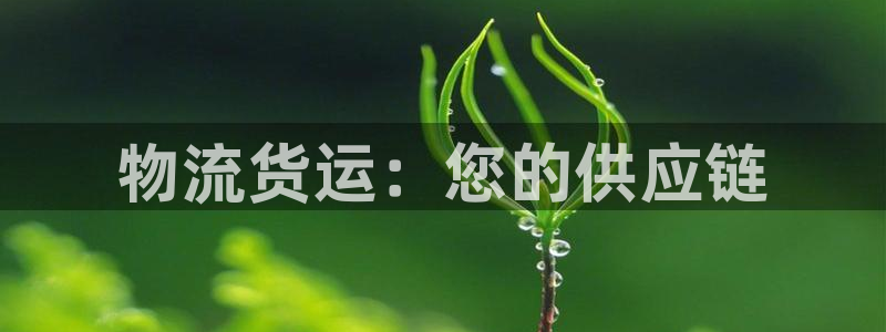 28圈官方官网