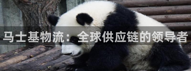28圈平台注册：马士基物流：全球供应