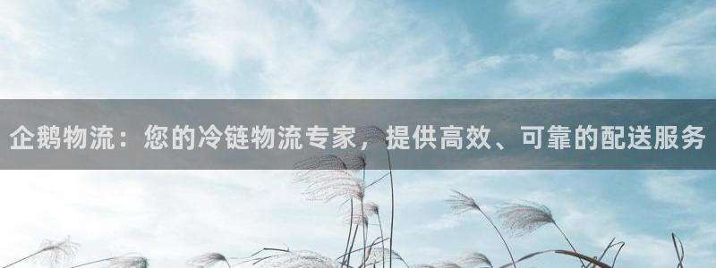 28圈的平台