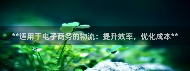 28圈反水怎么算