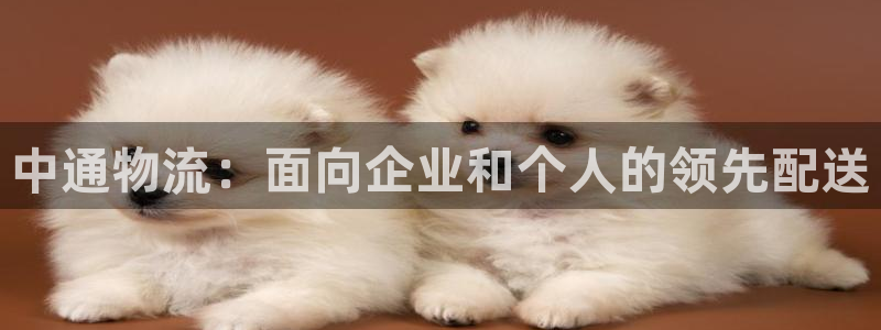 28圈开奖预测
