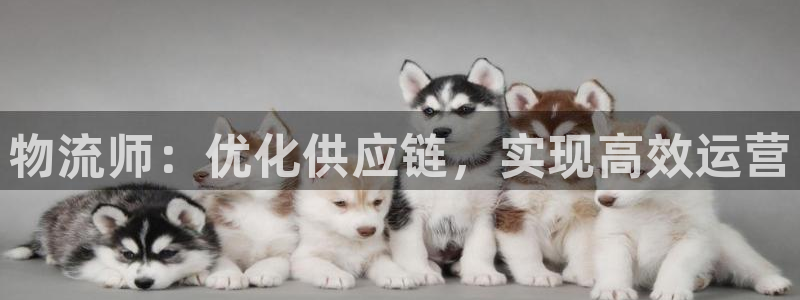 28圈官网平台下载