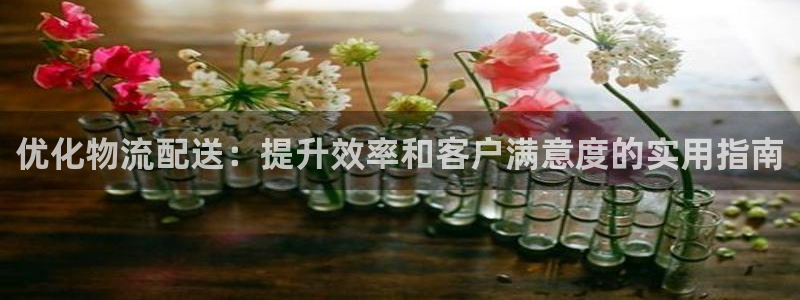 28圈注册网页：优化物流配送：提升效
