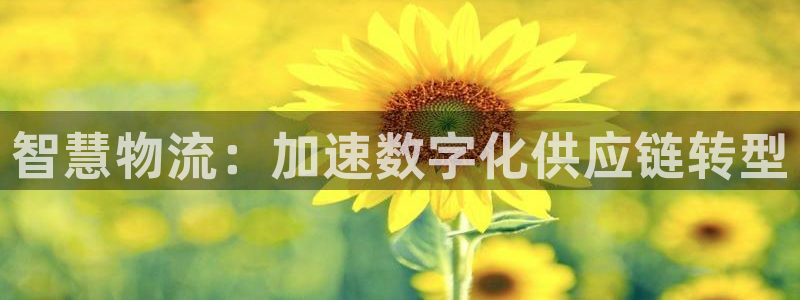 28圈.ccmpc预测