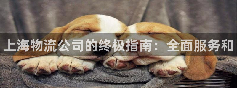 28圈注册入口与教程：上海物流公司的