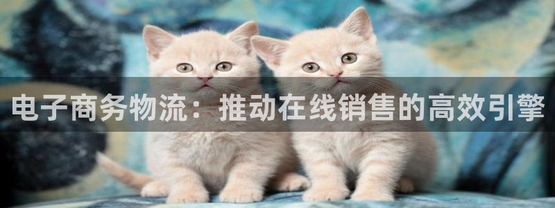 28圈加拿大能提现吗
