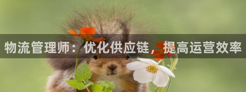 28圈怎么注册账号：物流管理师：优化