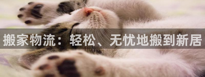 28圈预测加拿大