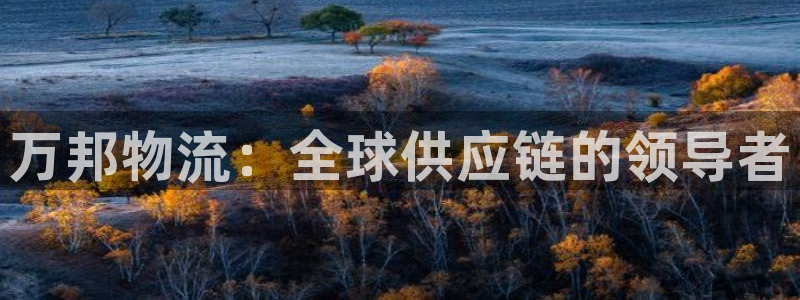 28圈注册网站链接怎么弄：万邦物流：