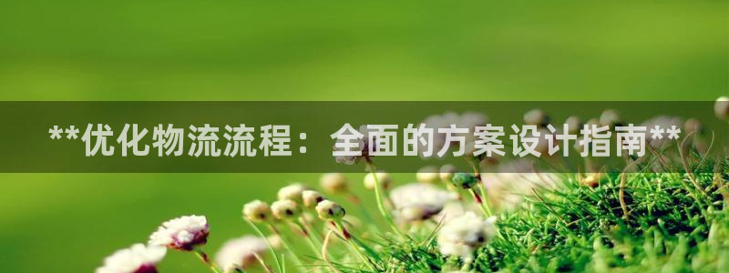 28圈登录网：**优化物流流程：全面