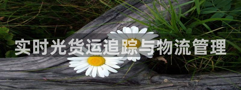 28圈怎么下载不了