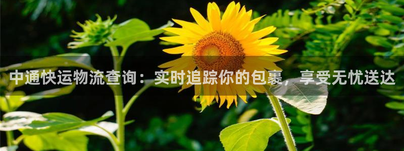28圈取保