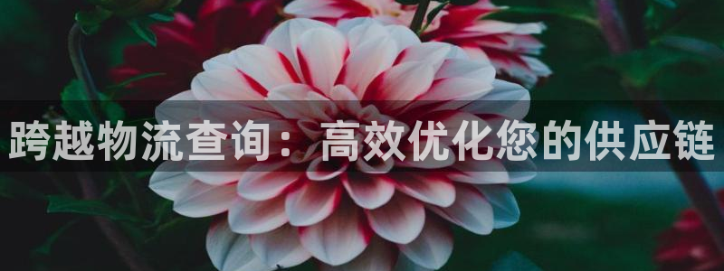 28圈.ccmpc29官网版下载