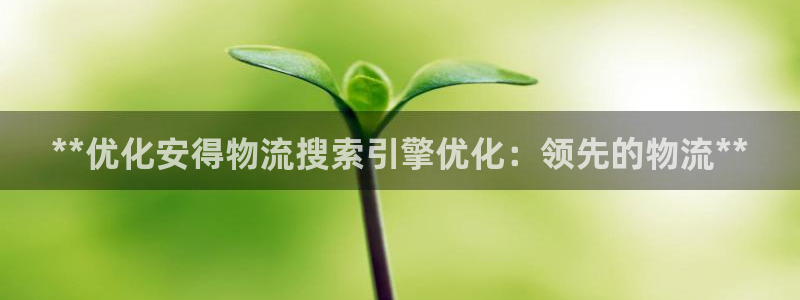 28圈充值不到账怎么回事