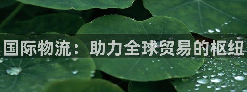 28圈下载链接是多少