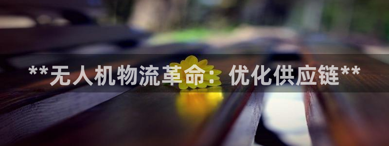 28圈注册官网：**无人机物流革命：