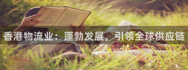 28圈官网版2024