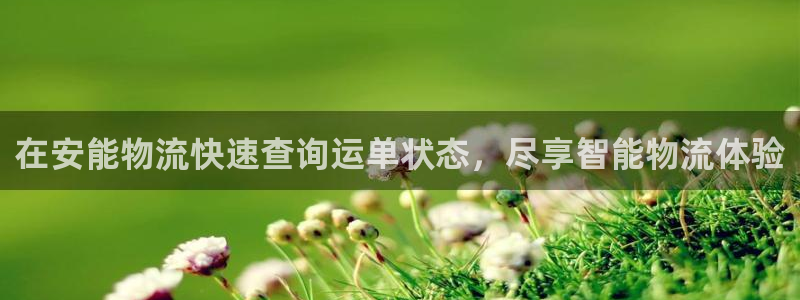 28圈官方网站