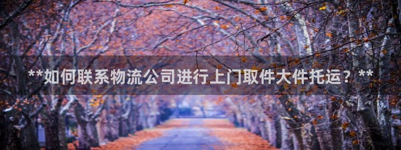 28圈官网注册：**如何联系物流公司