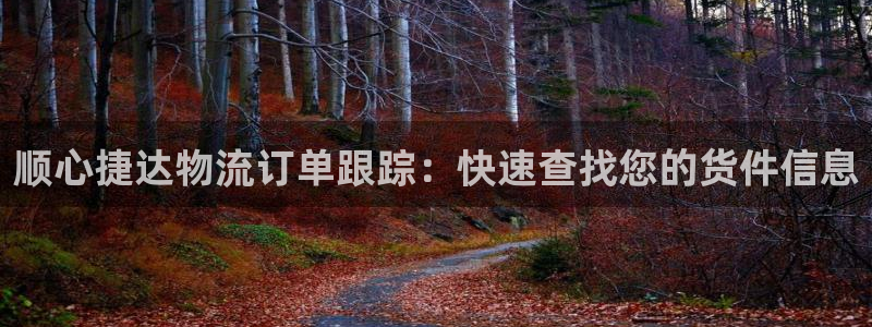 28圈软件有什么用