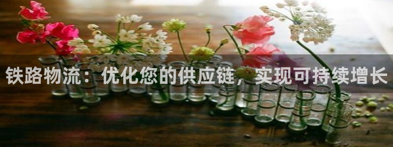 28圈娱乐官网网页入口