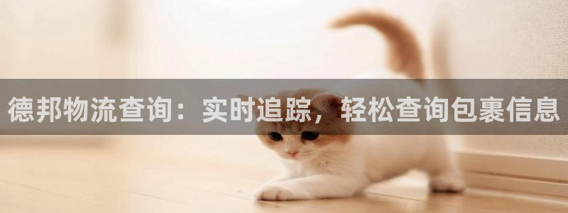 28圈模拟器下载