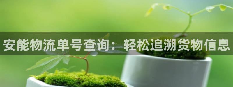 28圈充值不处理怎么办