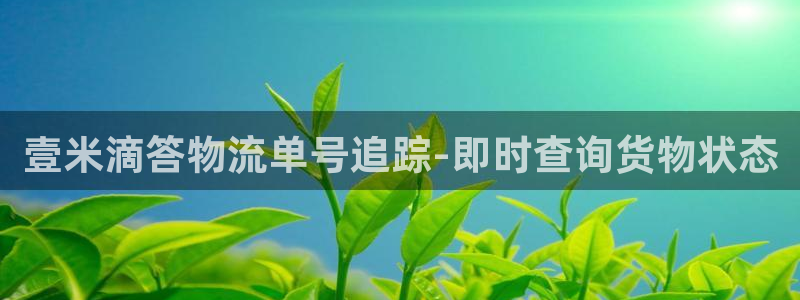 28圈头像