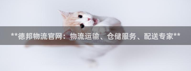 28圈可以退款吗