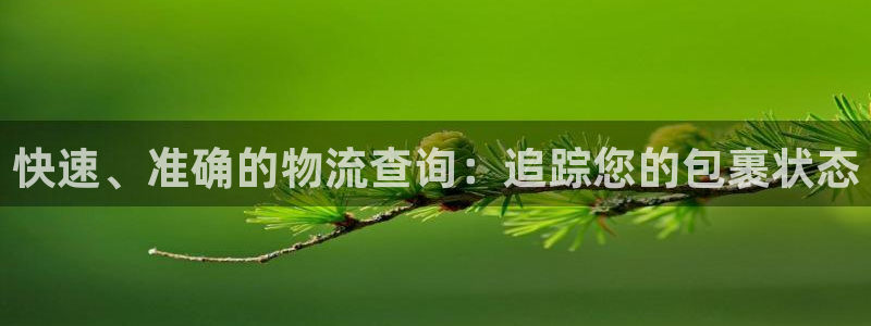28圈绿骨头